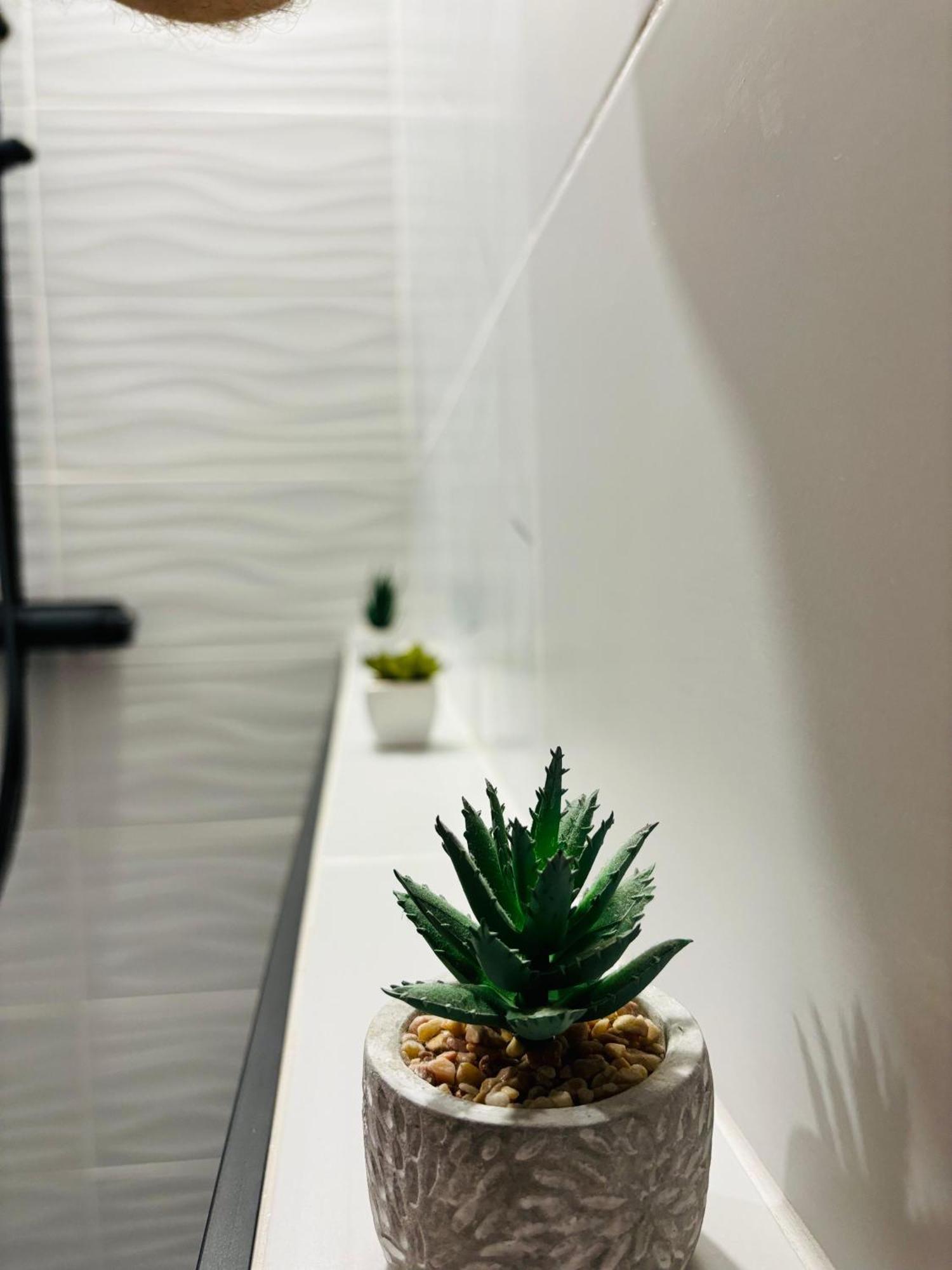 Amos Apartment-Ultracentral-Free Parking Клуж-Напока Екстериор снимка